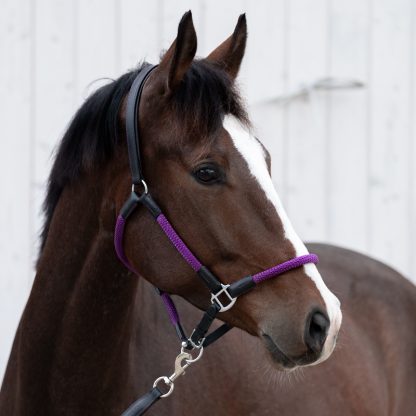 Rope Halter Set "Cavo" Kavalkade - Image 12