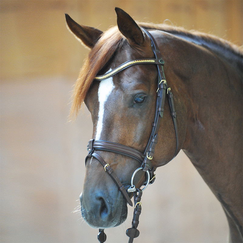 Kavalkade Bridle Angie – Equestrian Sports House