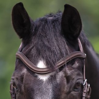 Kavalkade Browband Leather