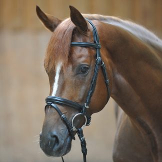 Kavalkade Bridle "Quentin"